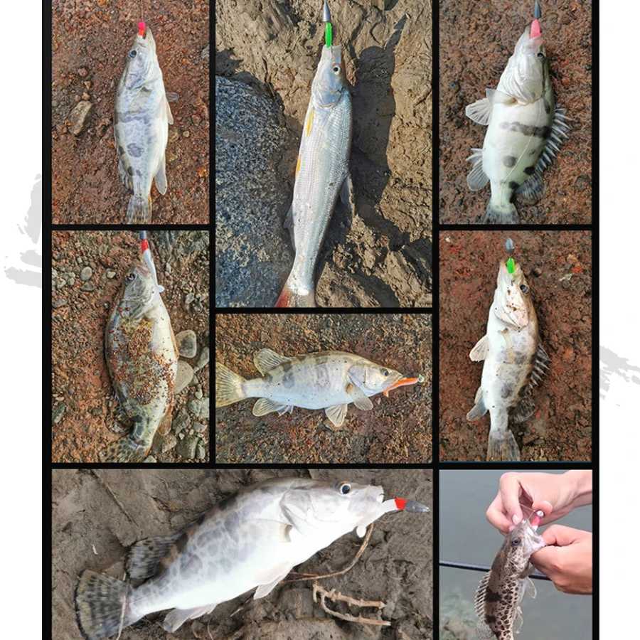 Фотография №4 товара WALK FISH 10 шт., мягкие приманки 5,5 см, 6,3 см,