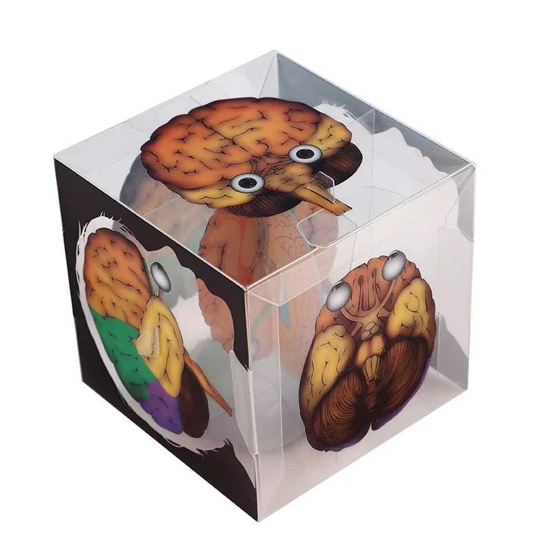 Креативные DIY сборные модели человеческого мозга игрушки 3D головоломка обучающая игрушка для детей подарок модные образовательные принадлежности Обучение и образование