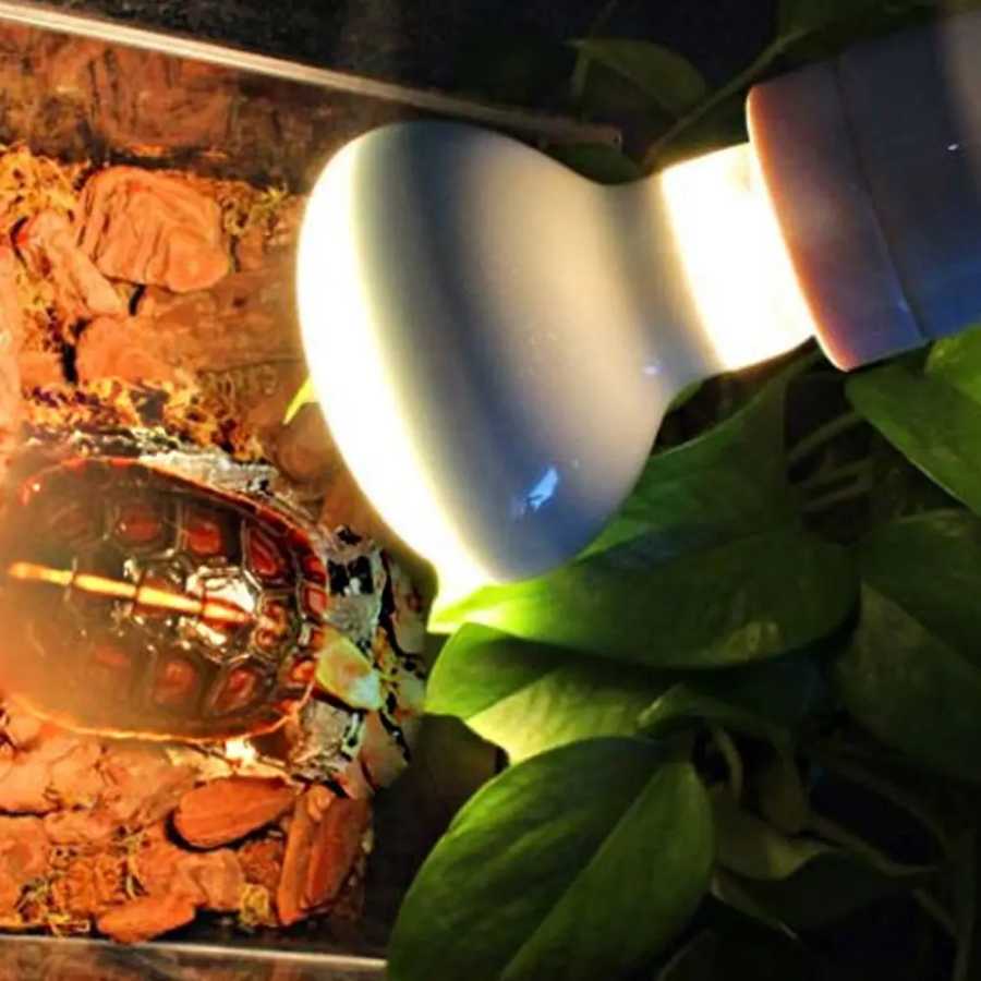 Фотография №1 товара Контроллер температуры для обогревателя для рептилий, галогенная лампа, УФ-лампа, лампа