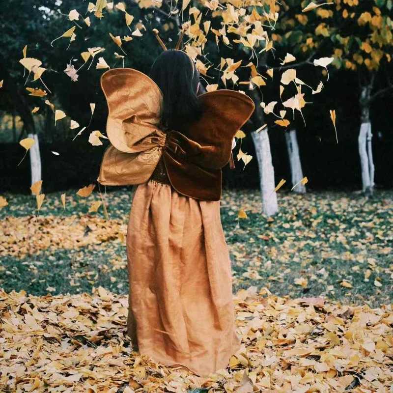 Фотография №4 товара Винтажный бархатный реквизит для фотосъемки с крыльями бабочки и лесом