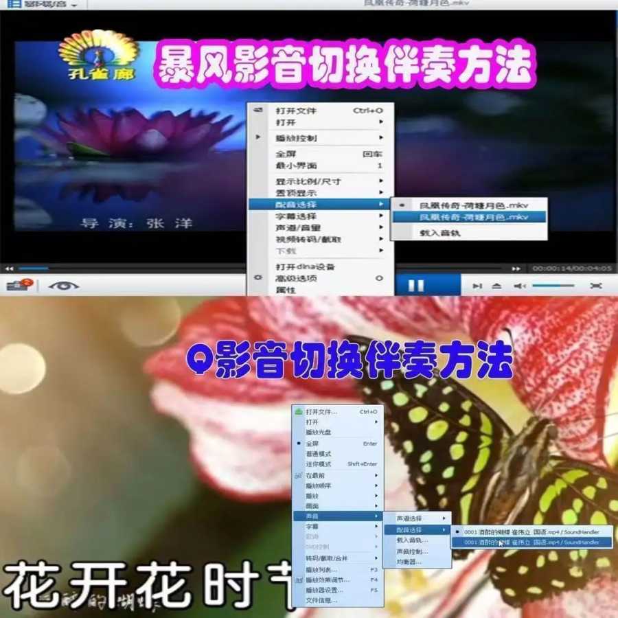 Фотография №4 товара Кантонская караоке-песня USB, караоке-видео USB для аккомпанемента, двойной трек, глушитель
