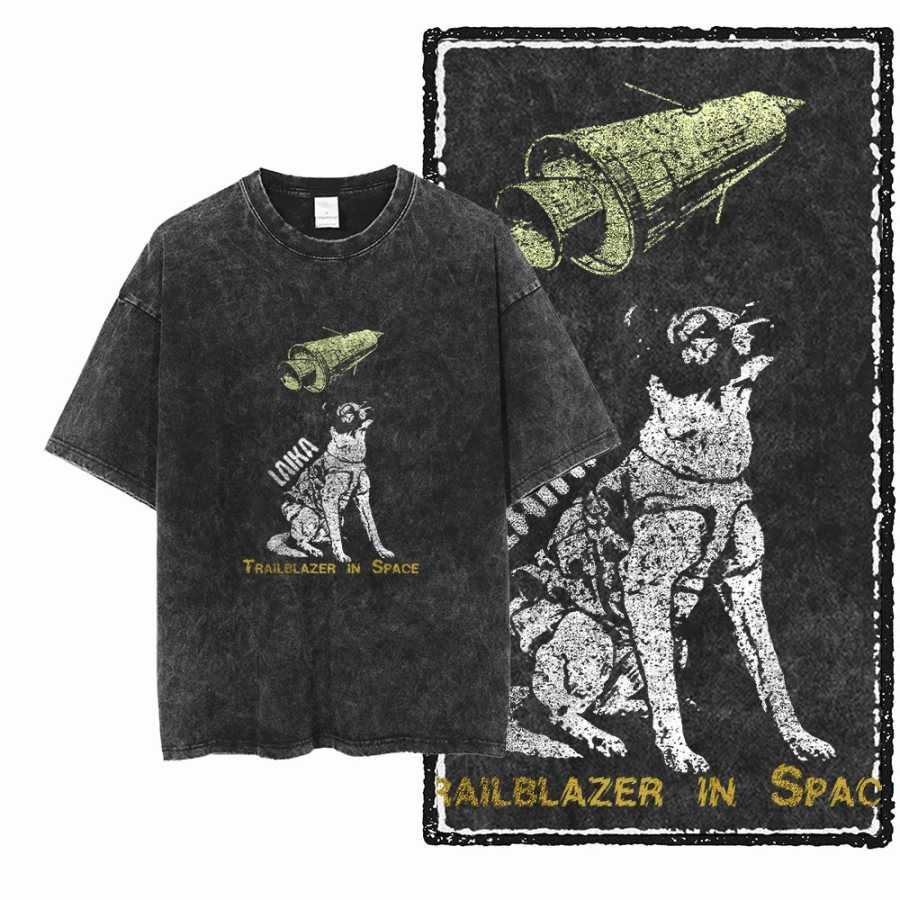 Футболка унисекс DCA LAIKA DOG с принтом, из хлопка с эффектом кислотной стирки, эксклюзивный графический дизайн, винтажный стиль, для мужчин Футболки и майки
