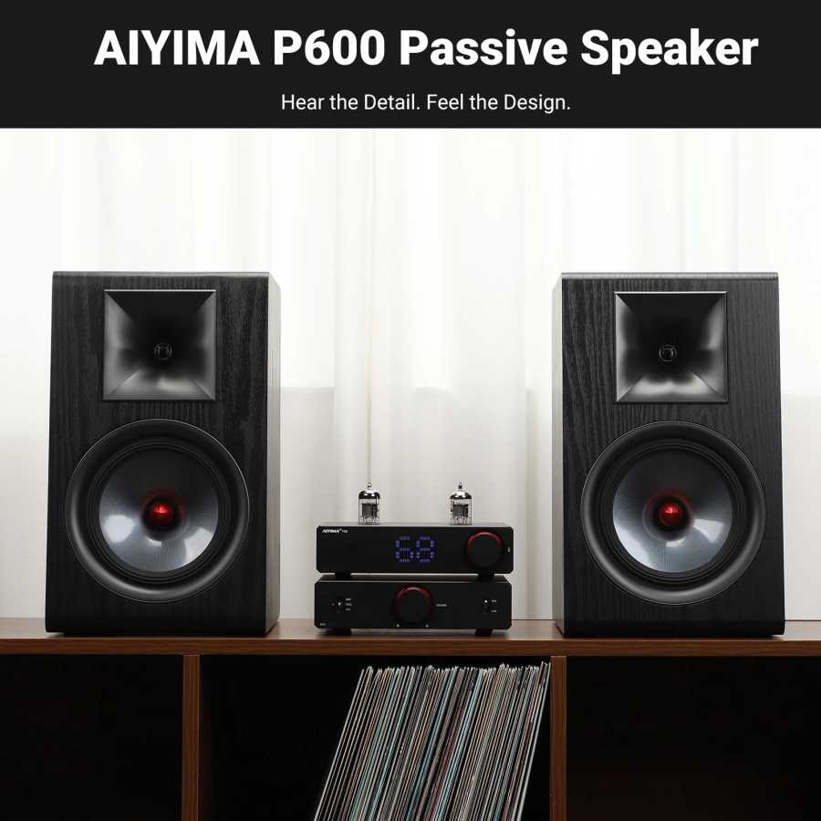 Фотография №1 товара Акустическая система AIYIMA P600 (обновленная версия) с пассивным динамиком 6,5