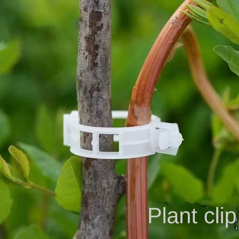 Фотография №3 товара Оптовая продажа, зажимы для фиксации растений, многоразовые пластиковые зажимы для